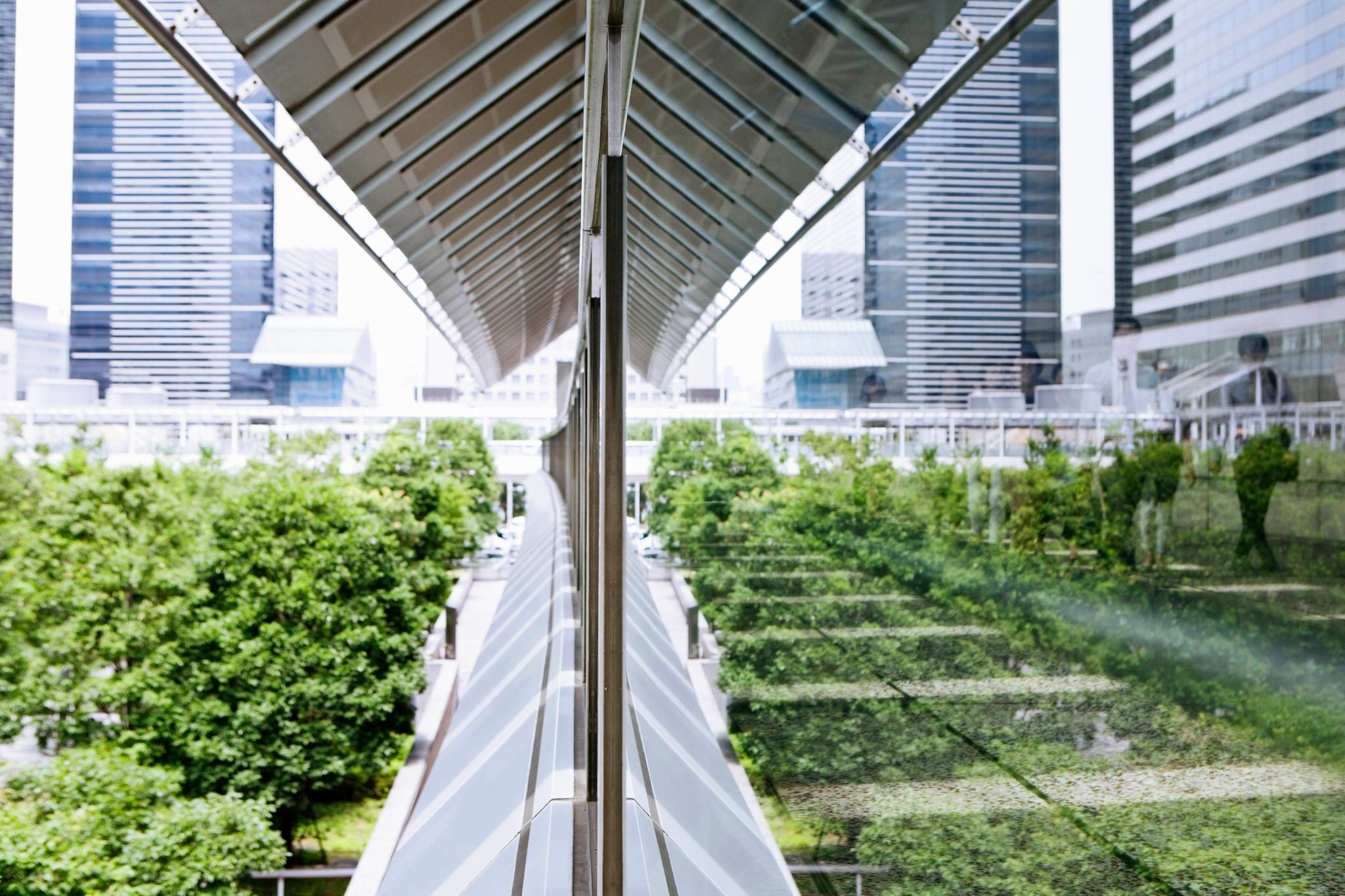 Silhouettes of business men and women walking along a passage through glass, green trees are reflected in the glass of a passage.