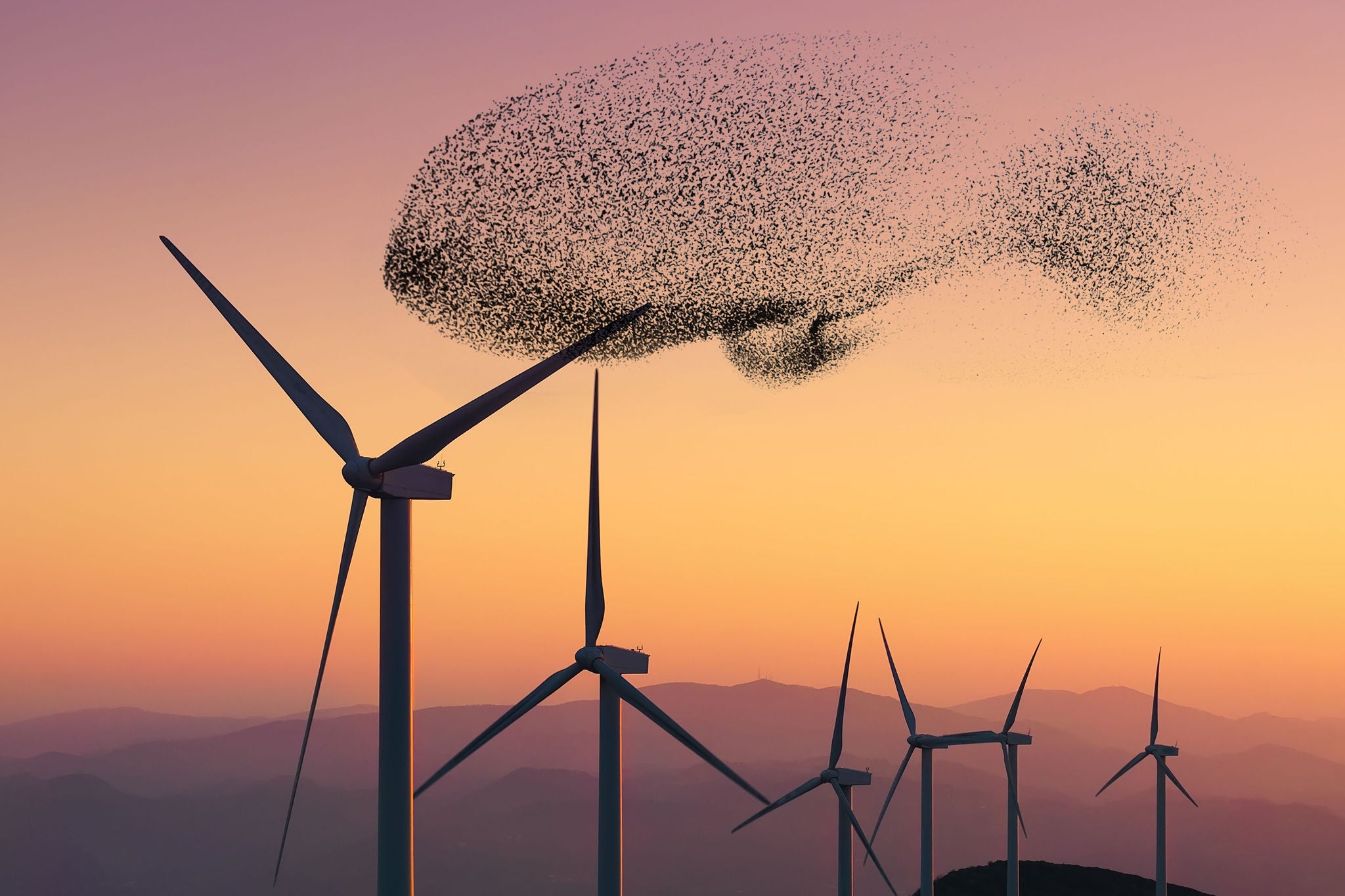 renewable energy with wind turbines